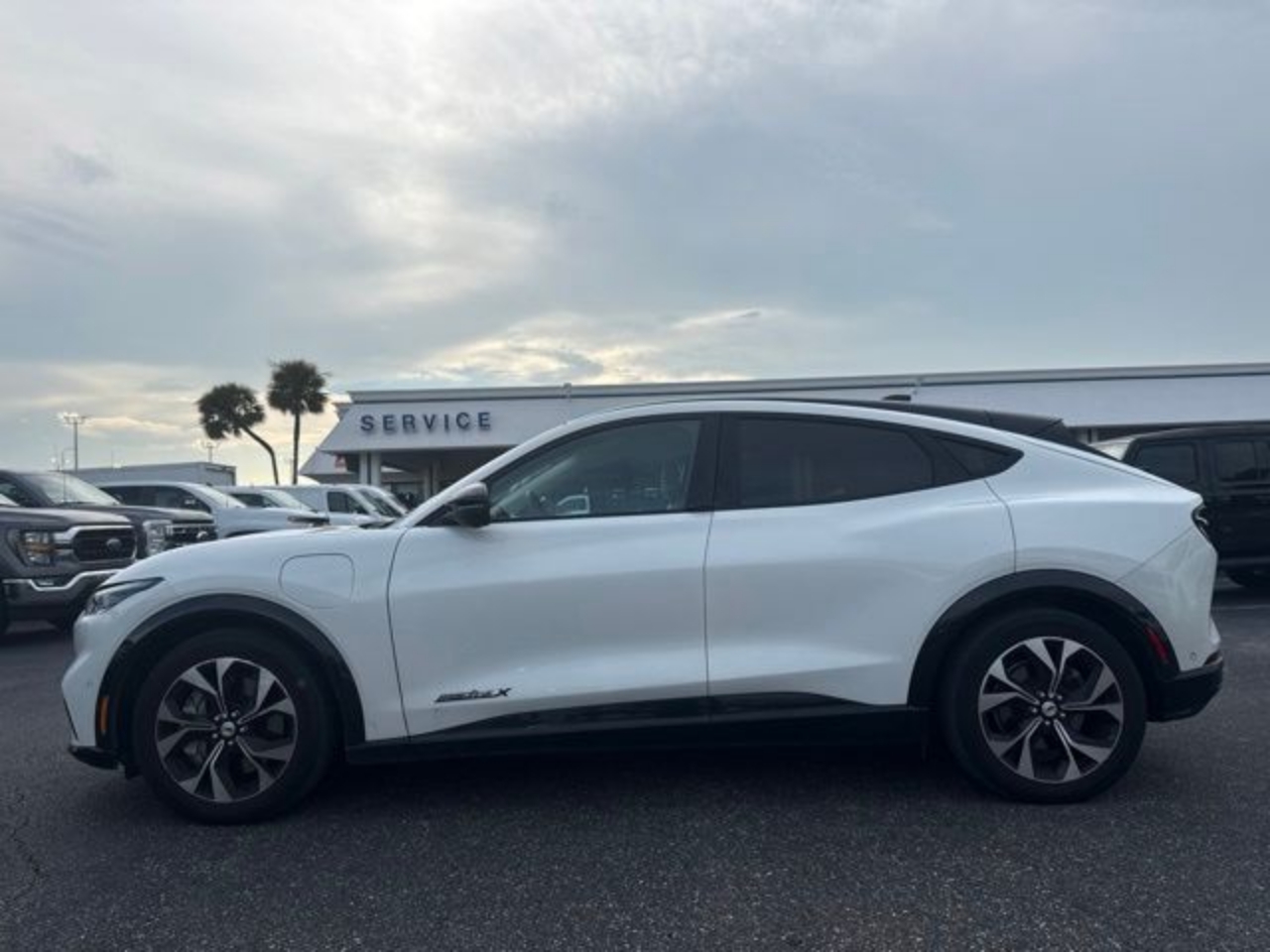 ford mustang mach-e 2023 3FMTK3R73PMA36888 image